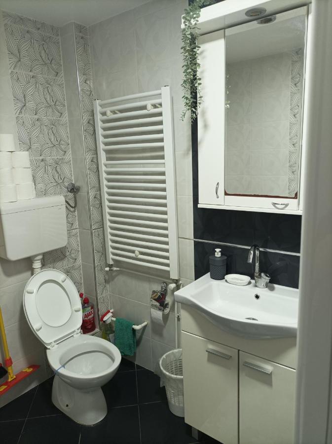 Ariana Apartman Kragujevac Eksteriør billede